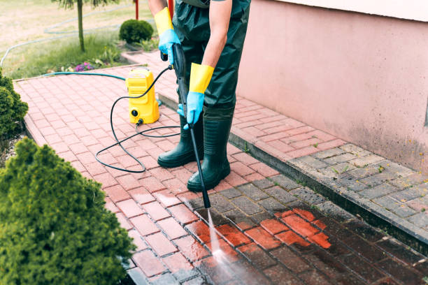 Best Animal Enclosure Cleaning  in Jamestown, OH